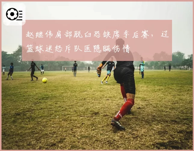 赵继伟肩部脱臼恐缺席季后赛，辽篮球迷怒斥队医隐瞒伤情